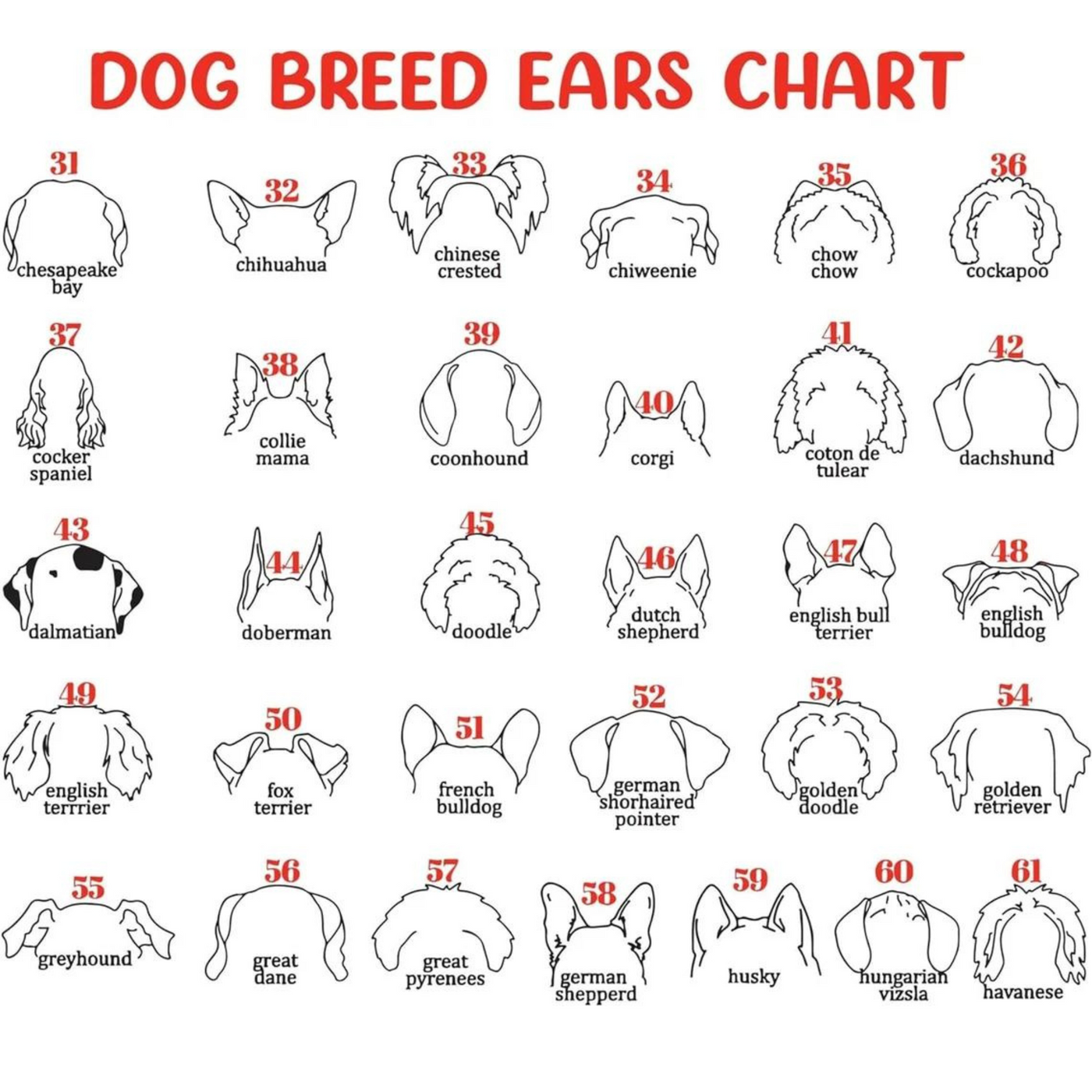 Dog Memorial Frame with Collar Holder