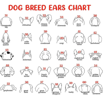 Dog Memorial Frame with Collar Holder