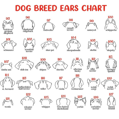 Dog Memorial Frame with Collar Holder