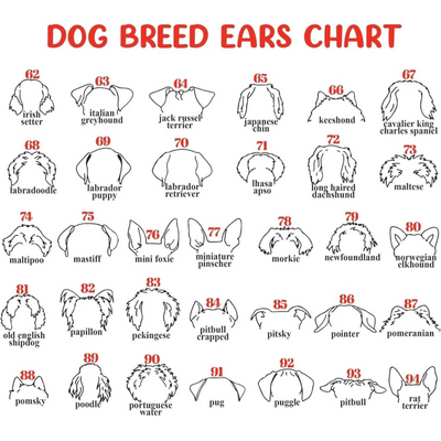 Dog Memorial Frame with Collar Holder